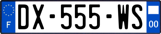 DX-555-WS