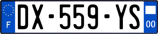 DX-559-YS