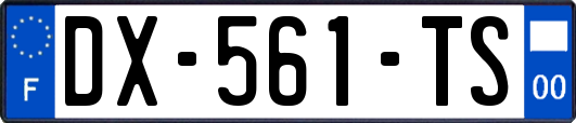 DX-561-TS