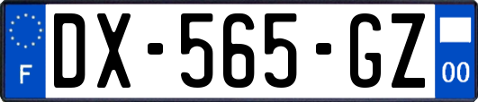 DX-565-GZ