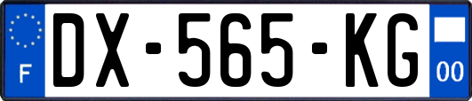 DX-565-KG