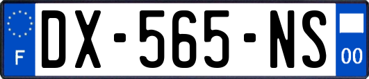 DX-565-NS