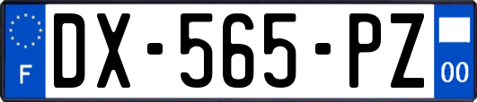 DX-565-PZ