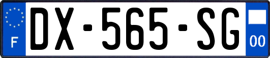 DX-565-SG