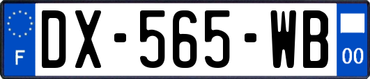 DX-565-WB