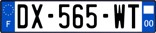 DX-565-WT