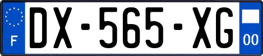 DX-565-XG