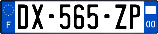 DX-565-ZP