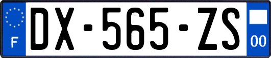 DX-565-ZS