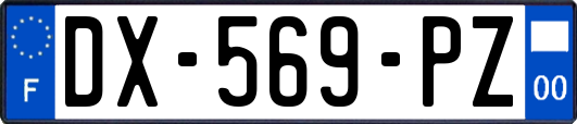 DX-569-PZ