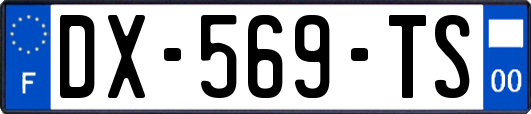 DX-569-TS