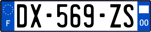 DX-569-ZS