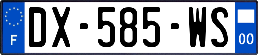 DX-585-WS