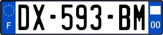 DX-593-BM