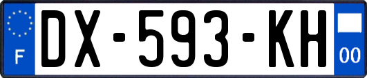 DX-593-KH