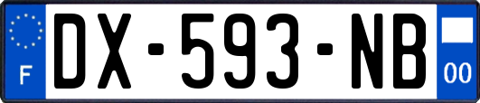 DX-593-NB