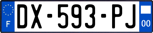 DX-593-PJ