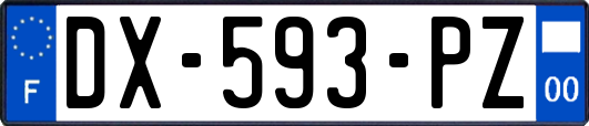 DX-593-PZ