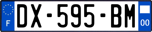 DX-595-BM