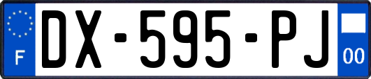 DX-595-PJ