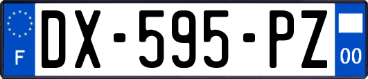 DX-595-PZ