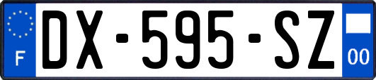 DX-595-SZ