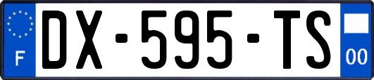 DX-595-TS