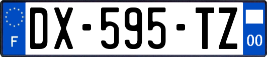 DX-595-TZ