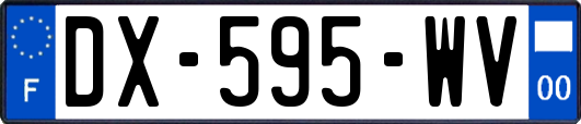 DX-595-WV