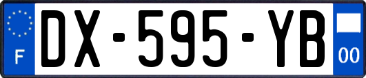 DX-595-YB
