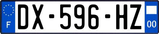 DX-596-HZ