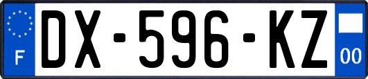 DX-596-KZ
