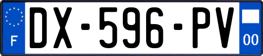 DX-596-PV