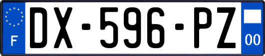 DX-596-PZ
