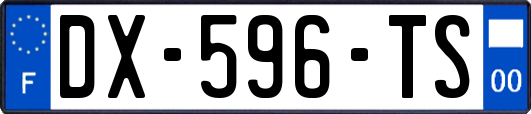 DX-596-TS