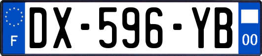 DX-596-YB