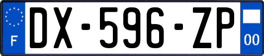 DX-596-ZP