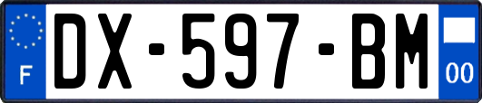 DX-597-BM