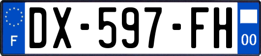 DX-597-FH