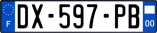 DX-597-PB