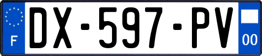 DX-597-PV