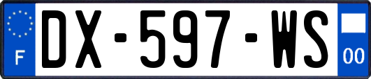 DX-597-WS
