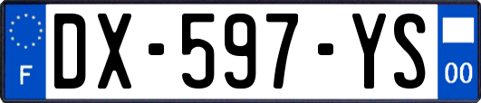 DX-597-YS