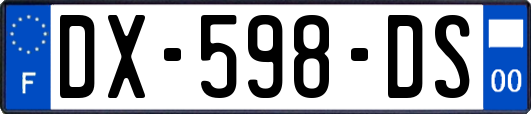 DX-598-DS