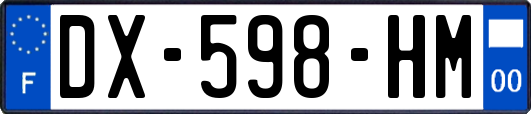 DX-598-HM