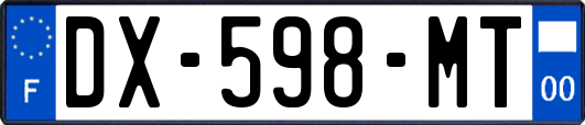 DX-598-MT