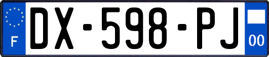 DX-598-PJ