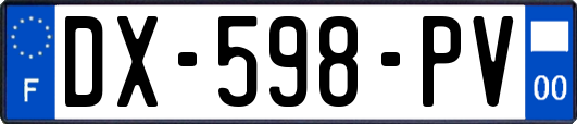 DX-598-PV