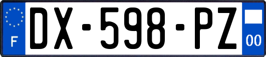 DX-598-PZ