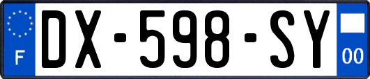 DX-598-SY